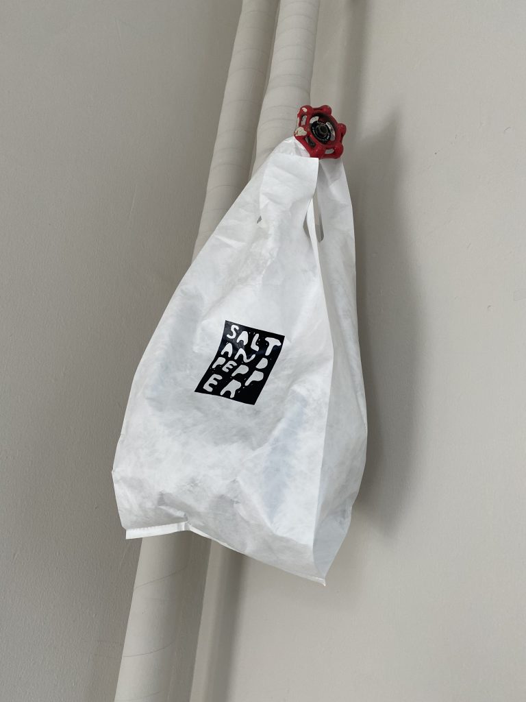 TYVEK SHOPPER | SALT AND PEPPERのブログ | HOUYHNHNM（フイナム）