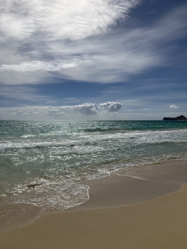 エメラルドグリーンの海が広がるワイナマロビーチ。